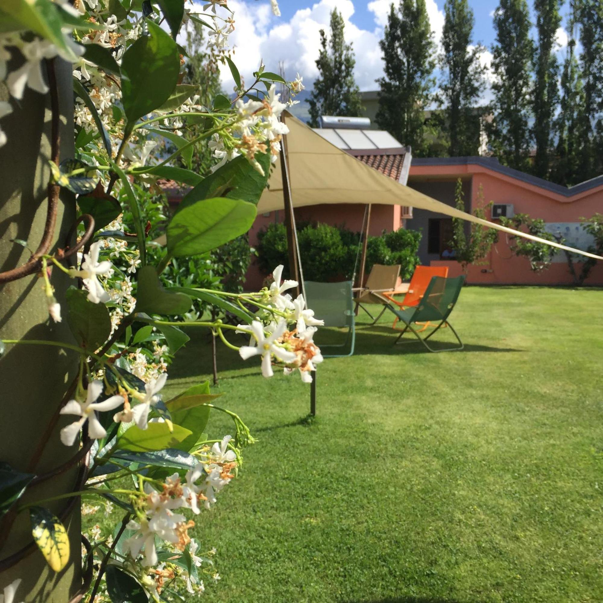 Aliajazz - B&B Hotel - Castrovillari Zewnętrze zdjęcie