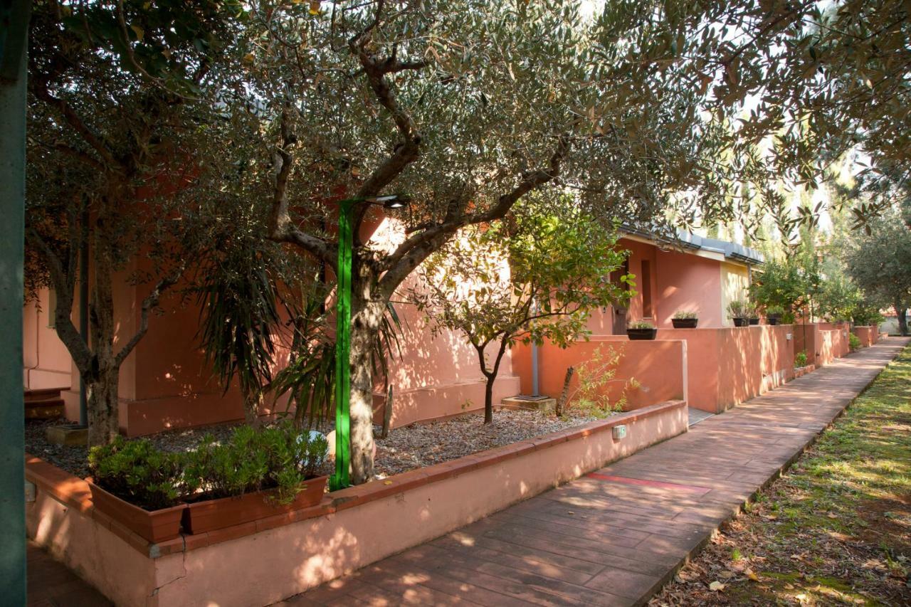 Aliajazz - B&B Hotel - Castrovillari Zewnętrze zdjęcie